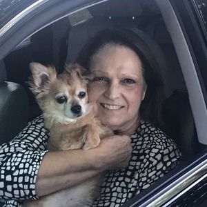 Meet your Posher, Sandy